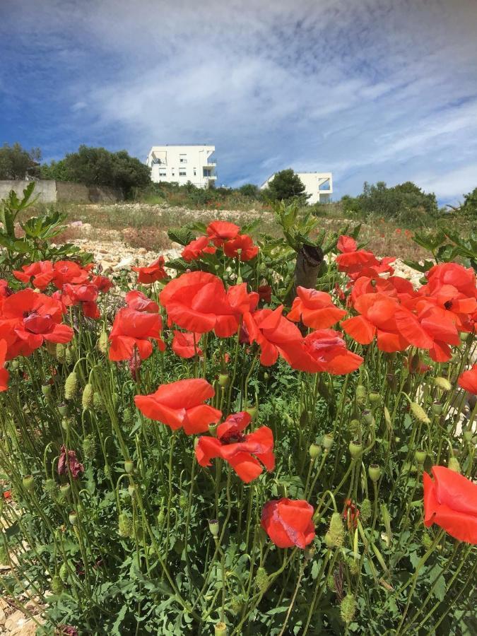 Apartment Julia Τρογκίρ Εξωτερικό φωτογραφία